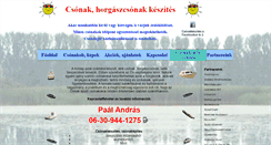 Desktop Screenshot of csonakkeszites.hu